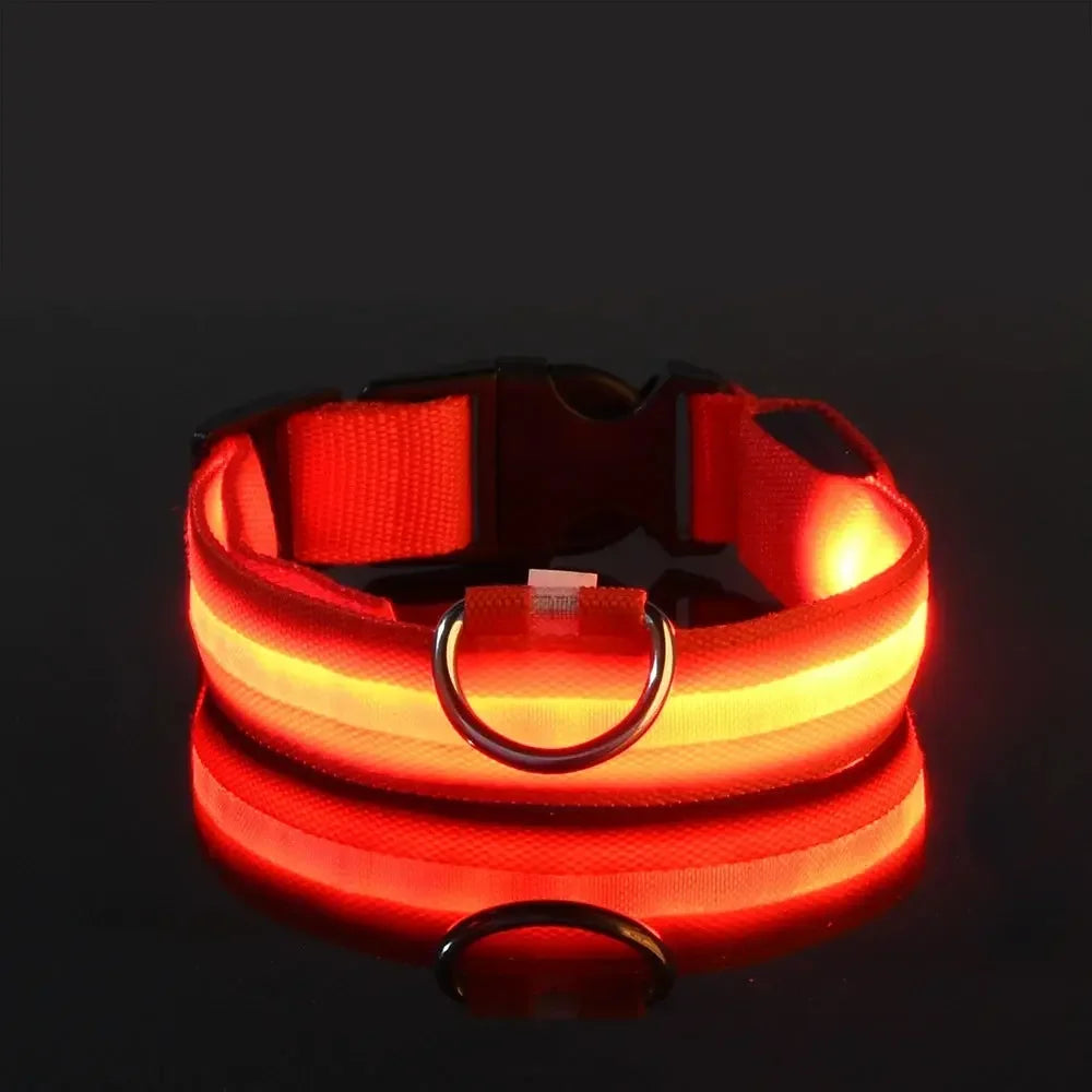 GlowPaw™ LED Leash & Collar sifo-shop