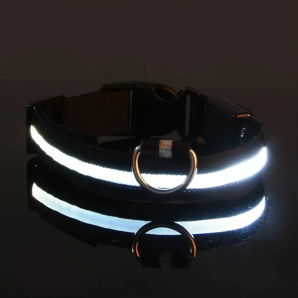 GlowPaw™ LED Leash & Collar sifo-shop