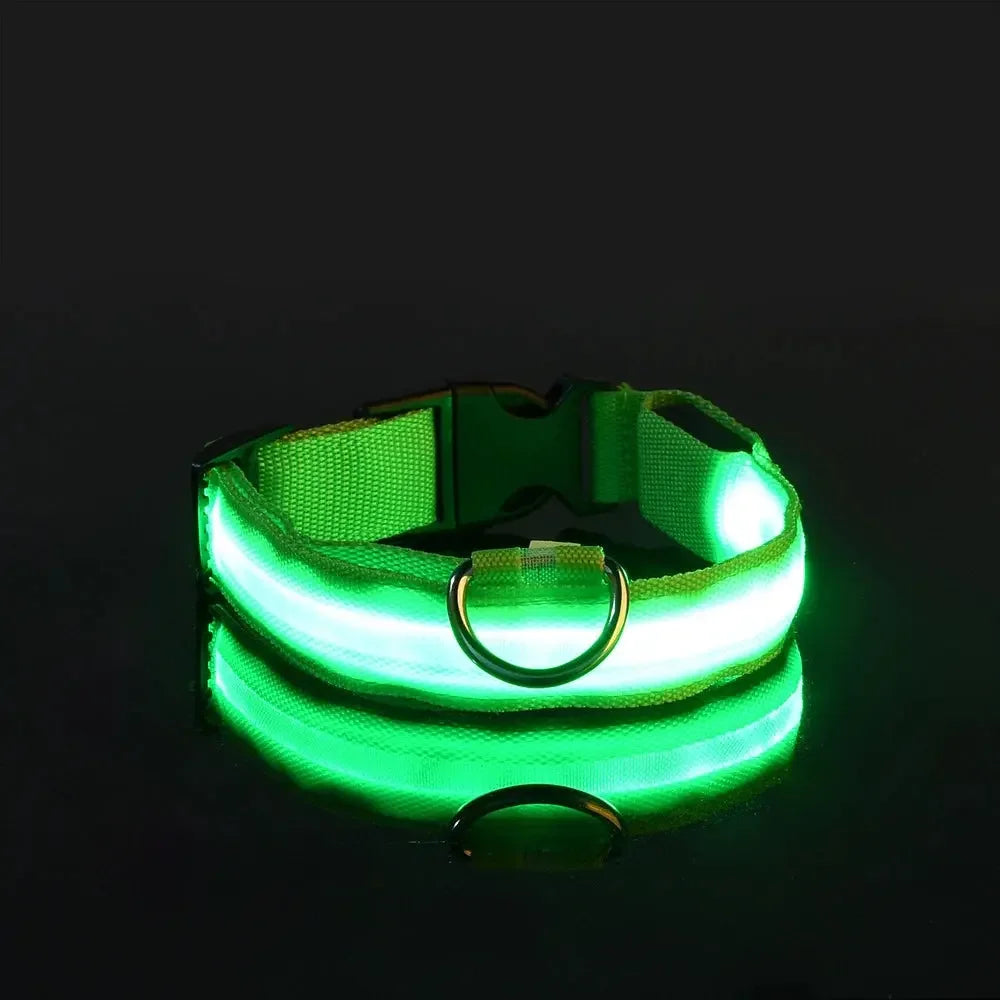 GlowPaw™ LED Leash & Collar sifo-shop