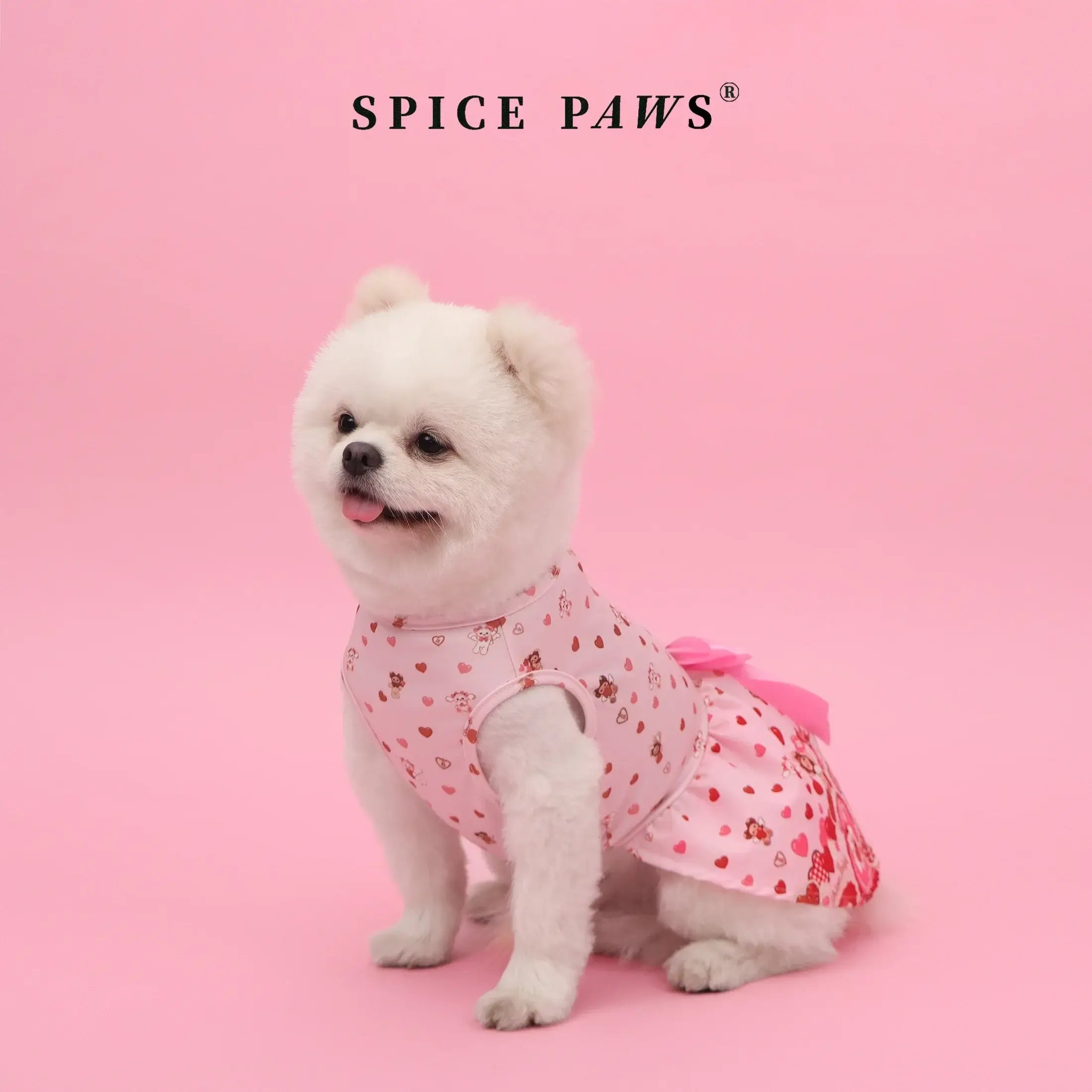LovePaw™ Valentine Dog Dress Pets Supplies Shop