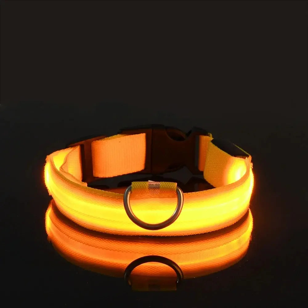 GlowPaw™ LED Leash & Collar sifo-shop