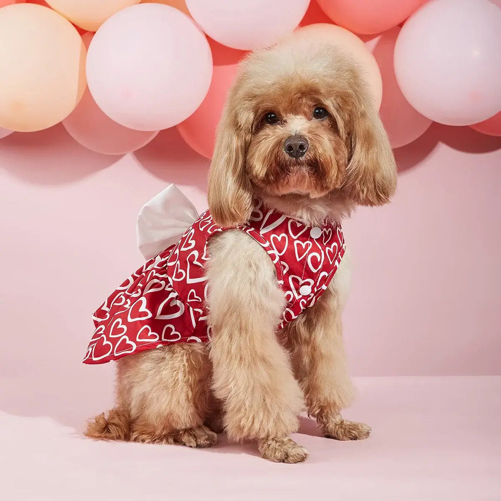 Valentine Bow™ Pet Dress Pets Supplies Shop