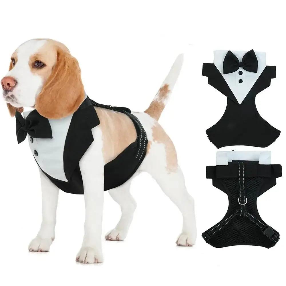 GentlePaws™ Tux Harness Pets Supplies Shop