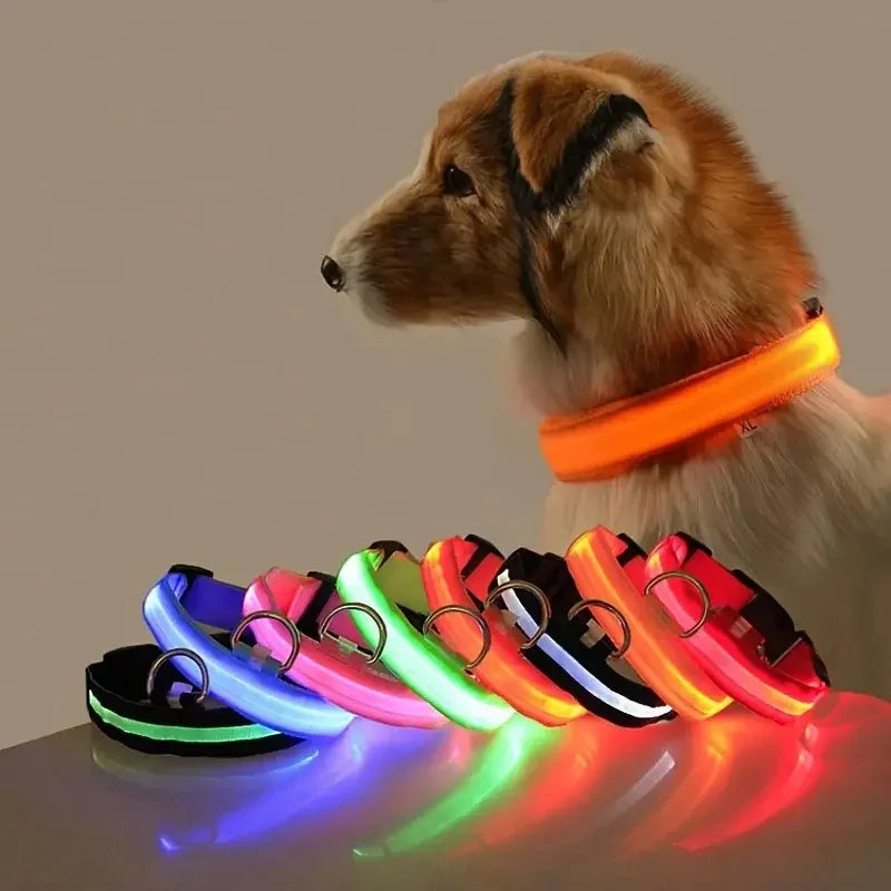 GlowPaw™ LED Leash & Collar sifo-shop