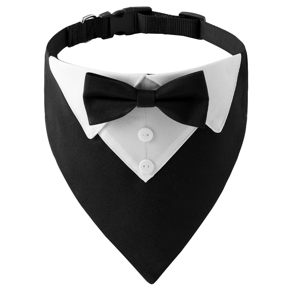 TuxPaw™ Bow Tie Collar sifo-shop