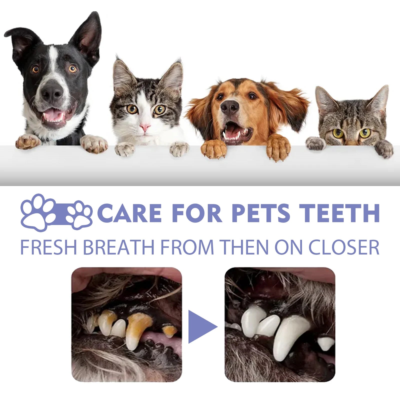 FreshPaw™ Dental Spray sifo-shop