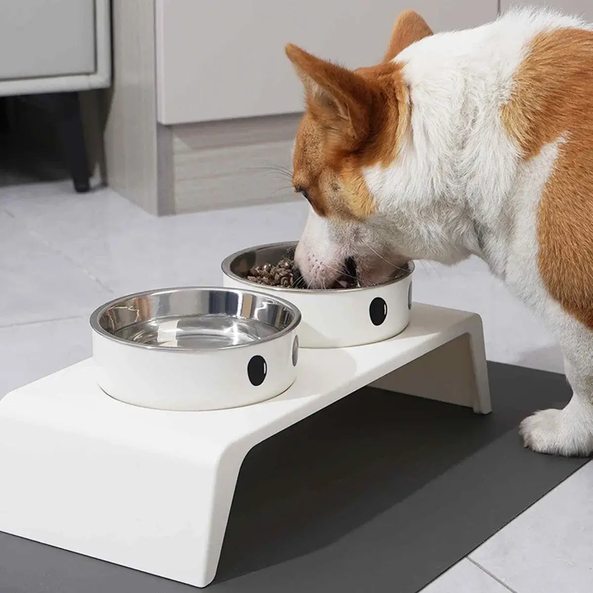 ElevateBowl™ Dual Pet Feeder