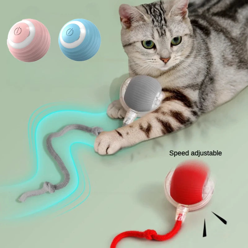 SpinPaw™ Smart Ball Pets Supplies Shop