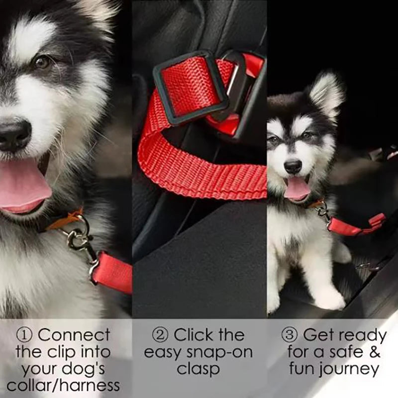 SafePaw™ Car Harness Pets Supplies Shop