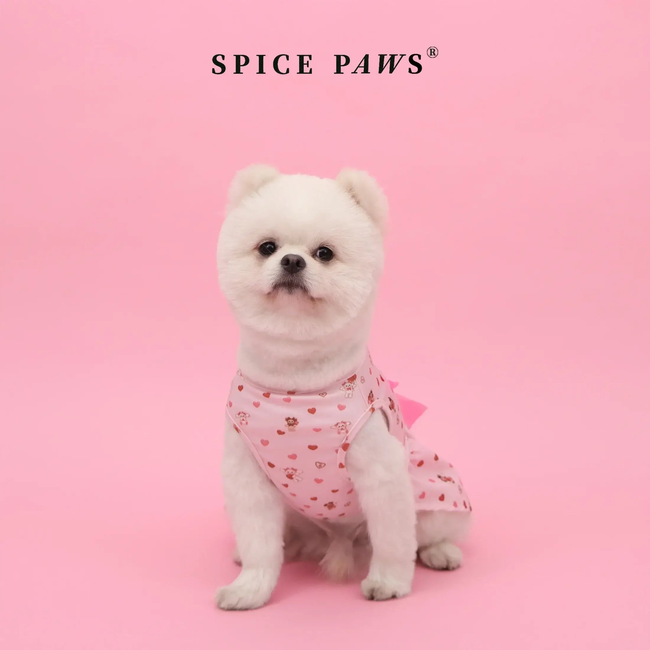 LovePaw™ Valentine Dog Dress Pets Supplies Shop