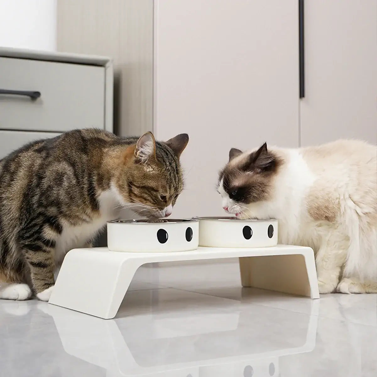 ElevateBowl™ Dual Pet Feeder